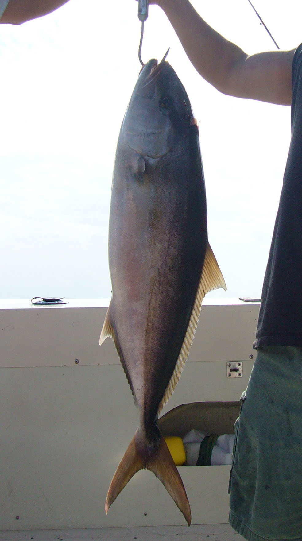 Fishing with Capt Dave on May 23rd of 2008 012a